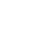 Picto société groupe SFD